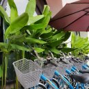 팰리스가족호텔 이미지