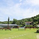 대파니힐링팜 이미지