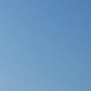 새들농장 이미지