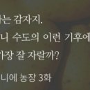 천부농장 이미지