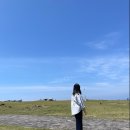 2021.05.19_가족 제주여행 첫째날(마라도/한라전복/뷰스트/답다니수국길/휴애리/은빌레펜션/한아름식당)