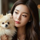 모찌네호캉스 | 반려견 호텔 예약, 실패 없이 성공하는 BEST 5 꿀팁