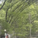 바모스크리에이터