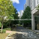 현촌유치원 앞 이미지