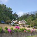 갈잎소펜션 이미지