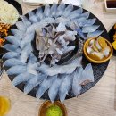 오징어파는언니안산점 | 안산 신선한 오징어회 맛집 추천 내돈내산 후기 ｜ 오징어당
