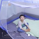 피리부는냥이