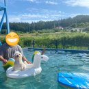 개리비안베이 | 여름휴가 애견 펜션 태안 개리비안베이 후기!!