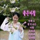 💐살아가는 동안 꼭 알아야 할 건강상식 50가지 이미지