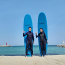 플라밍고서프