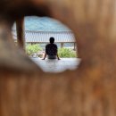 [안동] 1박 2일 뚜벅이 안동 글램핑 여행(안동시티투어/안동택시투어)