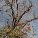 나무와 돌 이미지