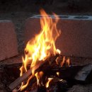 감나무집할머니 이미지