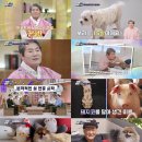 진성기획 이미지