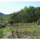 알미슈퍼 이미지