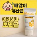 가이아 | 바이오가이아 유산균 성분 분석 후기 | 배앓이 유산균 DSM 17938 기준 정리
