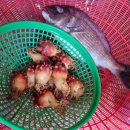 익산남원집 이미지