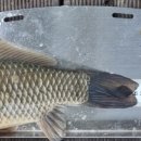 덕곡낚시터 이미지