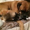 개편한세상 이미지