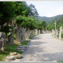 (주)세중여행사