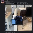 파티셔리 마루 이미지