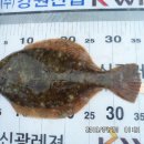 곤리레져