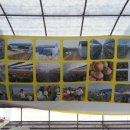 영농조합법인 물향기농산 이미지