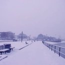 작천초등학교 이미지