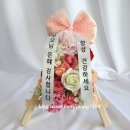 마녀의실놀이 이미지