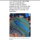구암동368 | 대전 유성구 지족동 :: 특별한 붕어빵을 맛볼수 있는 아이러붕 다녀온 후기
