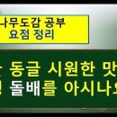 동글나무