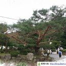 경남 함안 소재 칠원고등학교 대문목 이미지