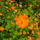 병방산군립공원 이미지