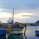 서호행정사사무소 이미지