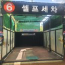 코끼리셀프 이미지