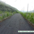 새순2농장 이미지