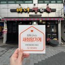 마녀생&육