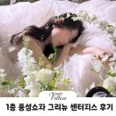 부겐빌리아 스튜디오 쇼파씬 후기 | 그리뉴 조화 센터피스 10만원 가성비 촬영 후기