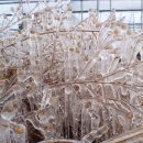 용옥농장 이미지