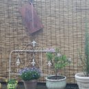 청담신의의원 이미지