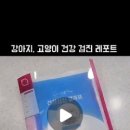 미르동물의료센터 이미지