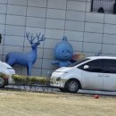 승주에코마켓 이미지