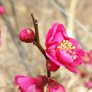 지혜의 소나기 이미지