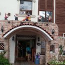 동성아이별꽃유치원 이미지