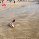 대천머드파라솔 이미지