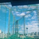 학성 스포렉스 이미지