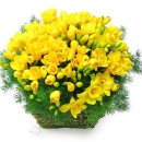 어쩌다가 이미지