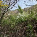 예산읍수철리보건진료소 이미지