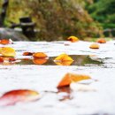 가을 내려앉은 산청 황매산 다랭이 논과 고즈넉한 산사순례 이미지