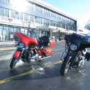 black pear 이미지